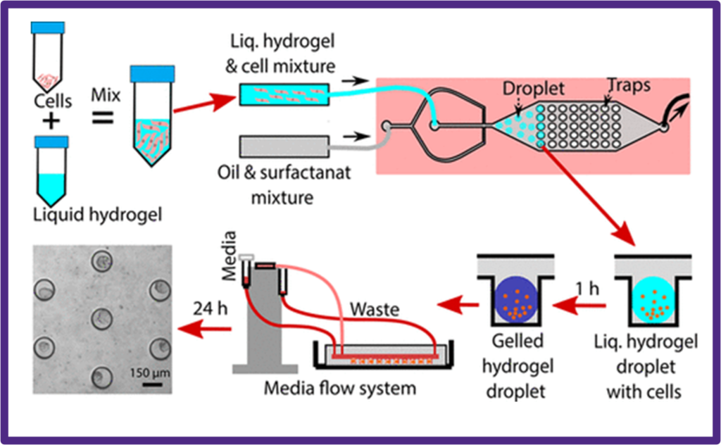 3D cell culturing microfluidic device 