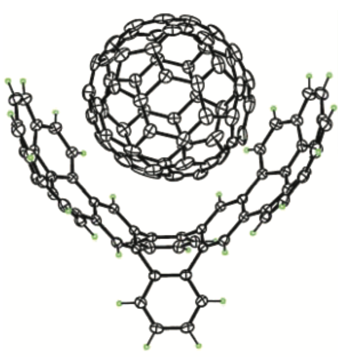 buckycatcher