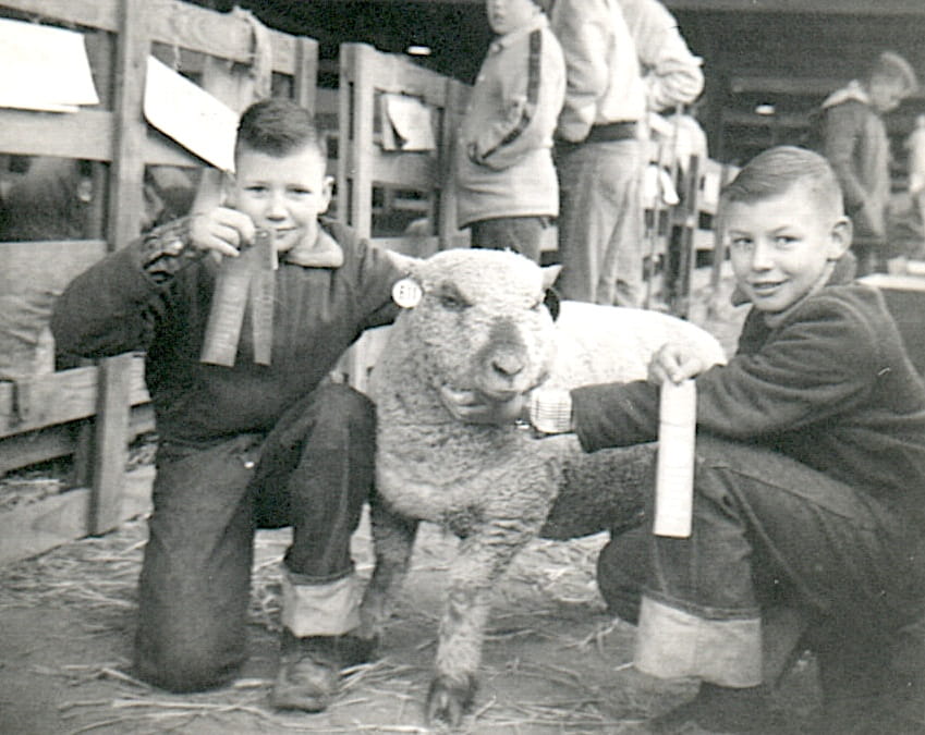 Frank at a livestock show at LSU