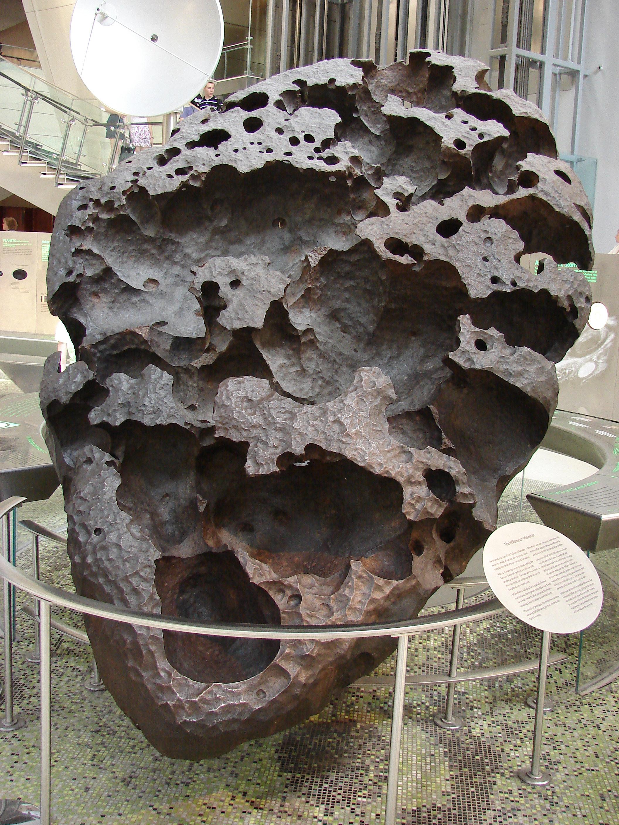 Williamette Meteorite