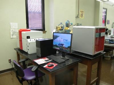 Isoprime 100 IRMS is coupled with a Vario Microcube Elemental Analyzer. 
