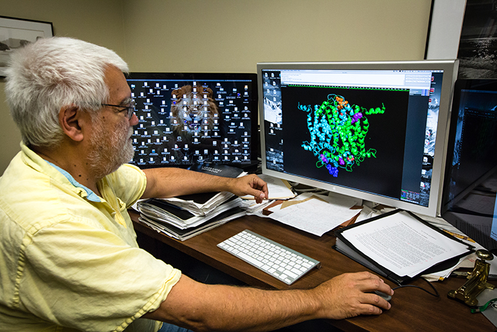 Photo description below