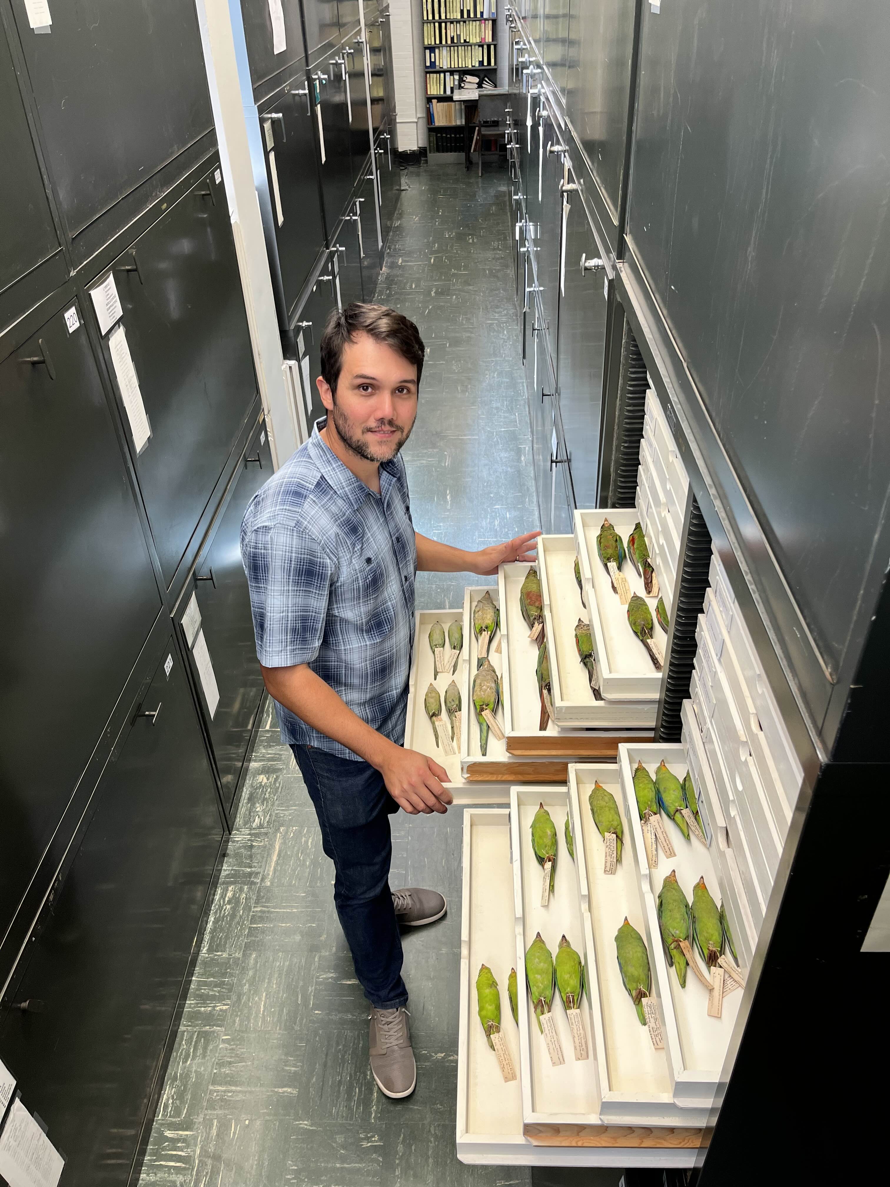 Dr. Thom at the LSU MNS bird collection