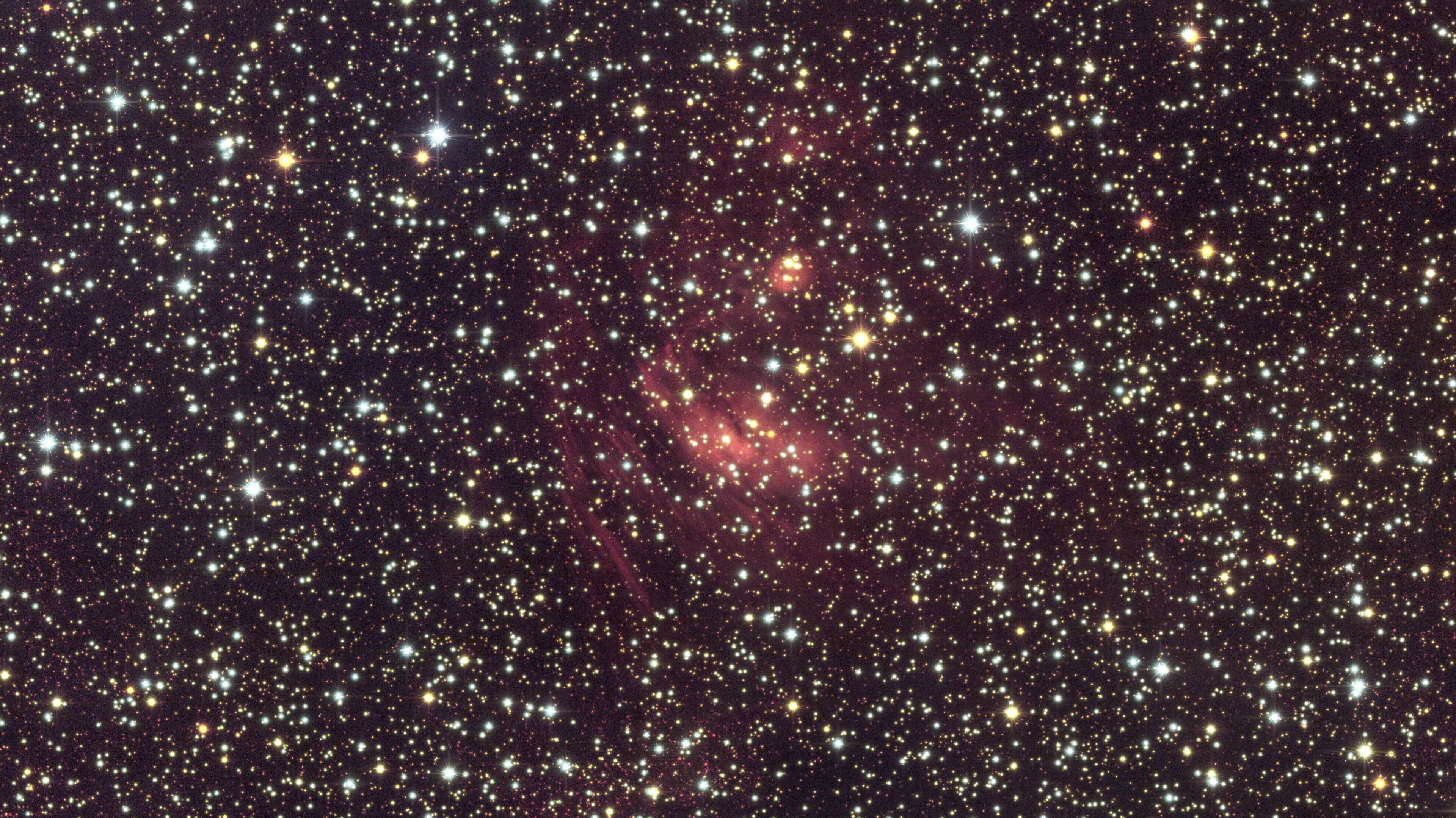 Euclid galactic bulge – nebula