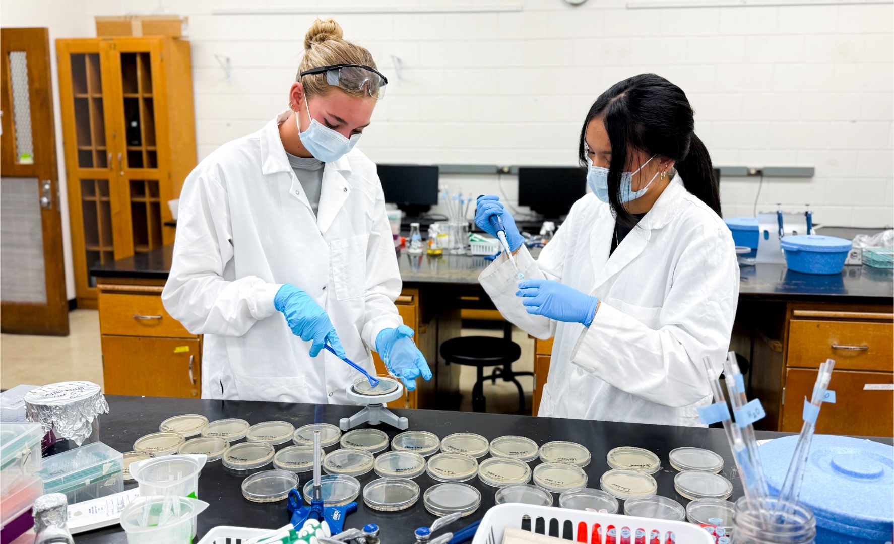 Student during an introductory lab class