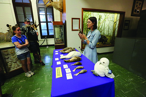 Graduate student in the LSU Museum of Natural Science leads a presentation during the MNS Night at the Museum