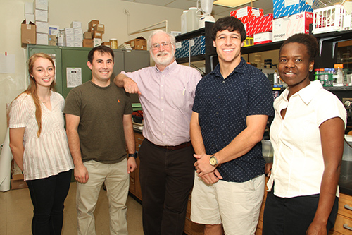 RIPE research group.