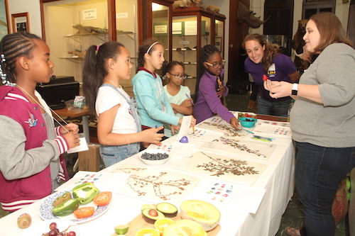 Participants learning about fruits and plants at Girls Day at the Museum.
