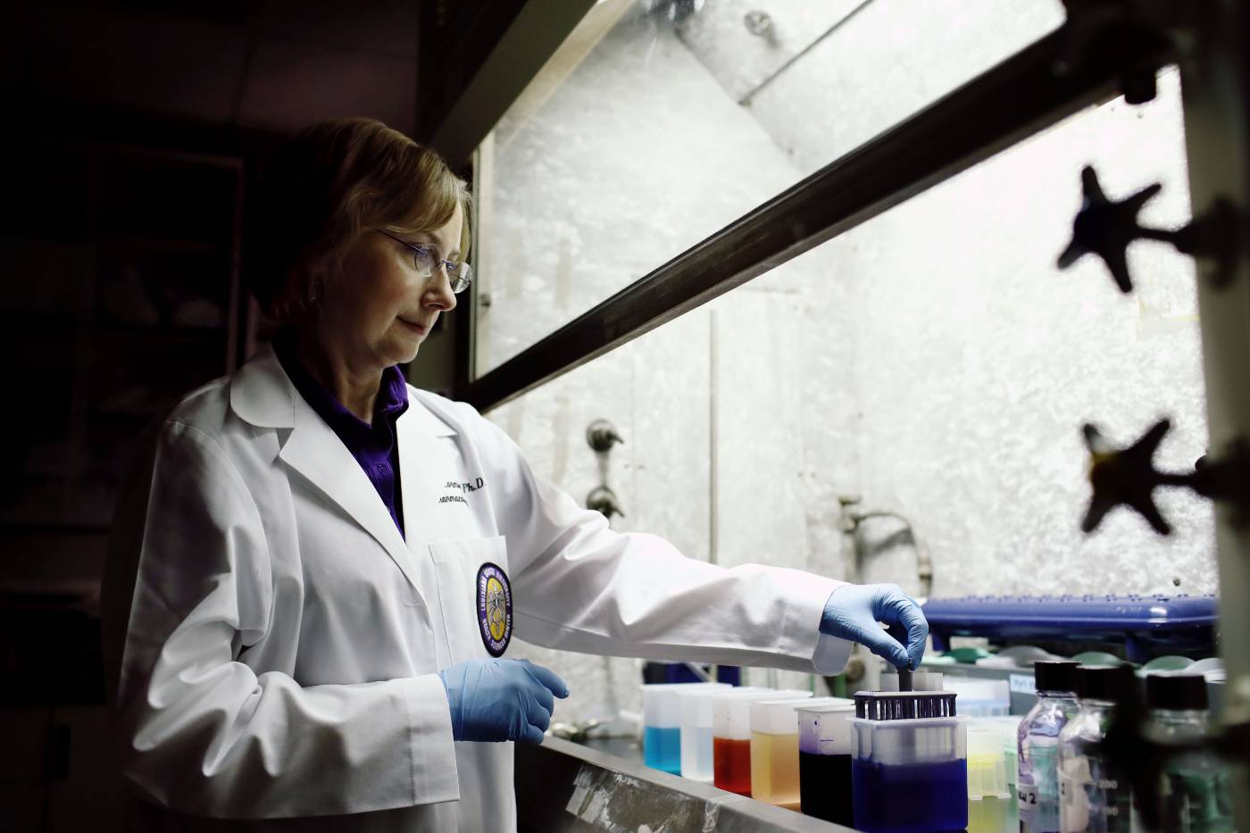 Researcher working in a lab setting