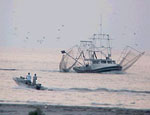 Photo: Shrimp boat and recreational fishing boat in the water.