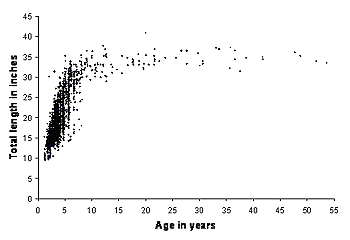 Snapper Age Chart