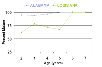 Snapper Age Chart