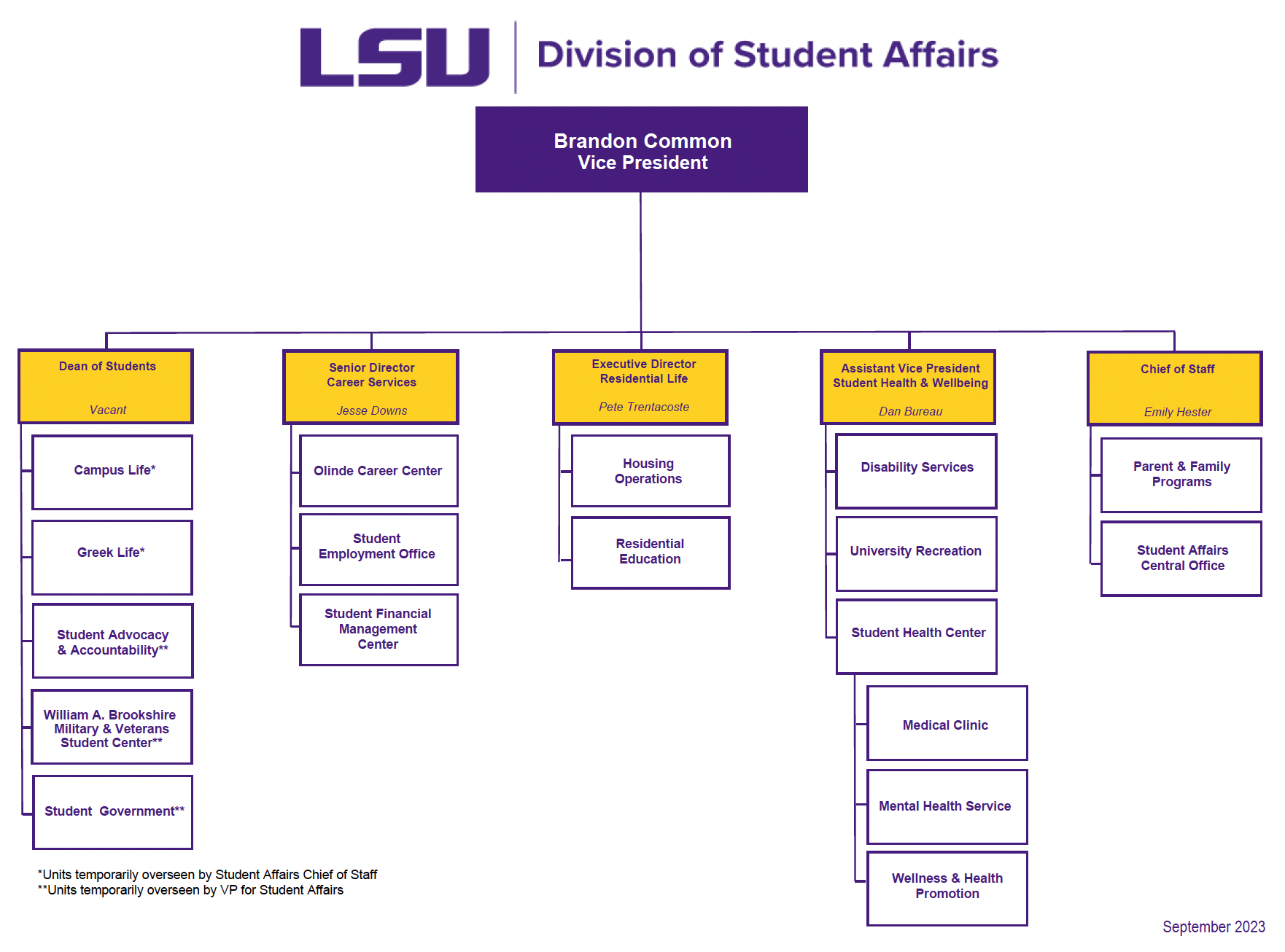 image of Division of Student Affairs org chart