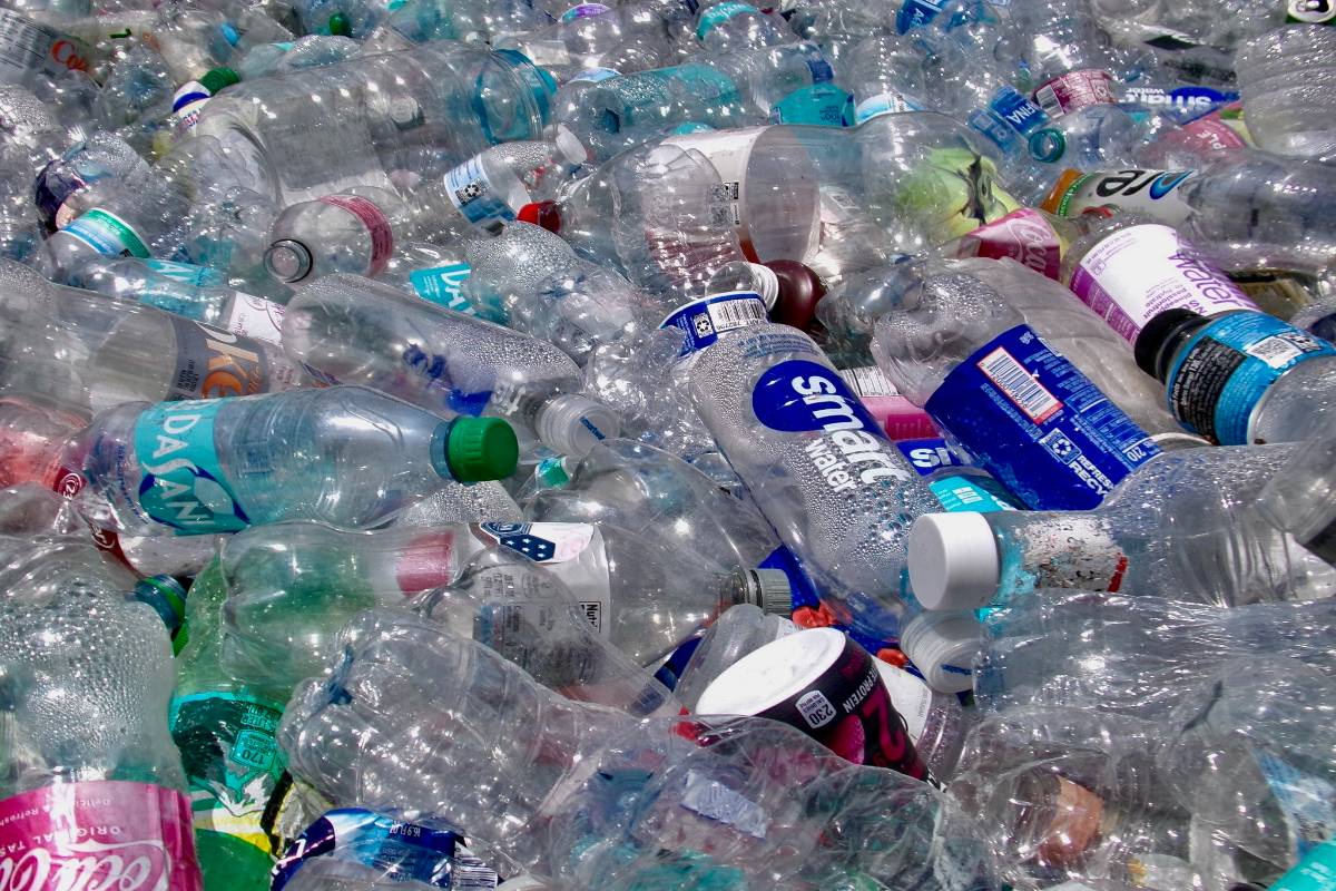 A photo of plastic bottles at the recycling sortation center.