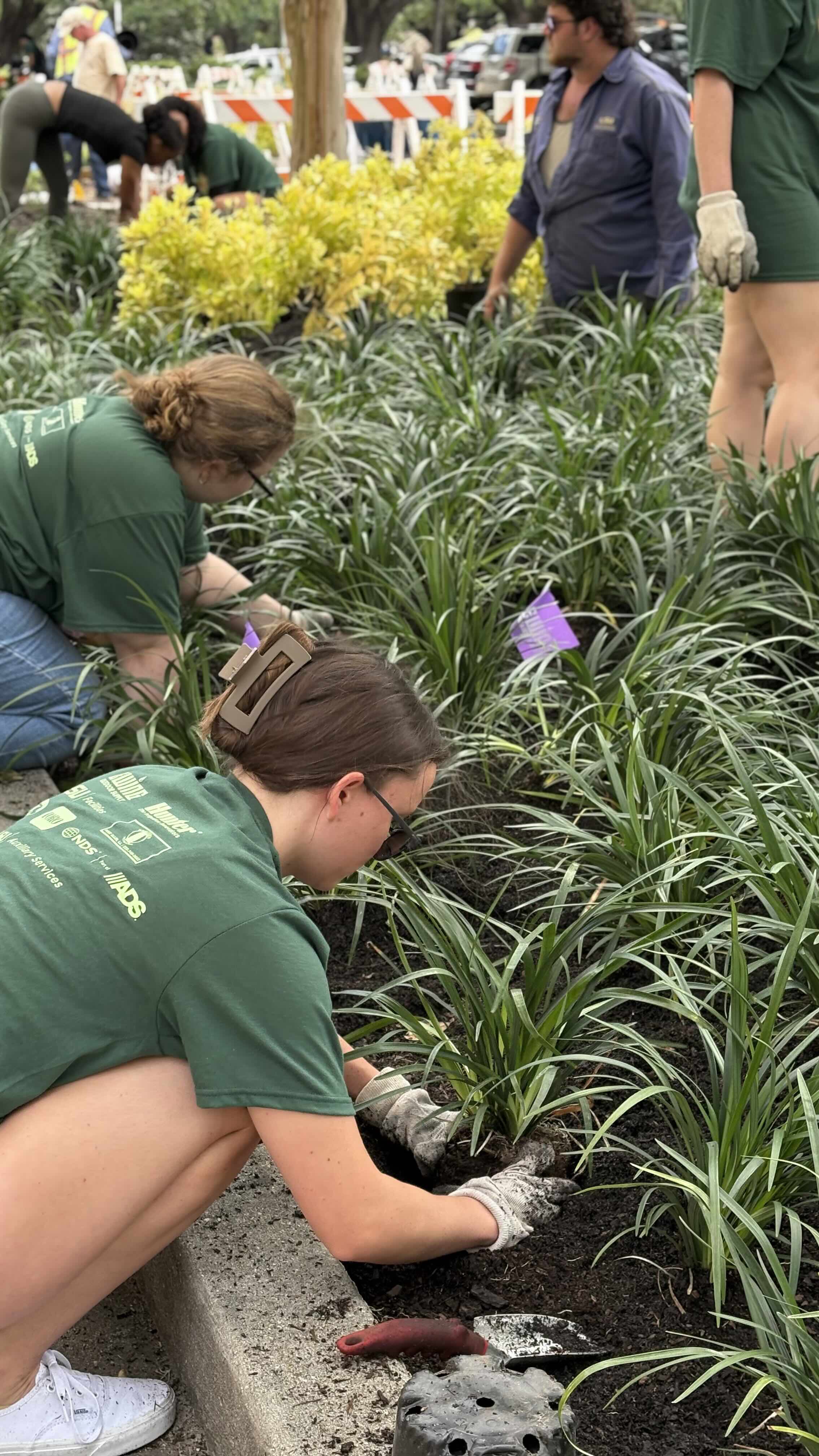 A person planting a plant during Spring Greening Day.