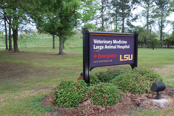 Large Animal Clinic sign