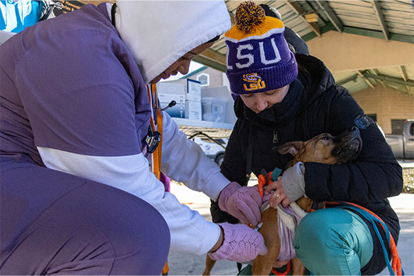 Dr. Miller with dog and volunteer