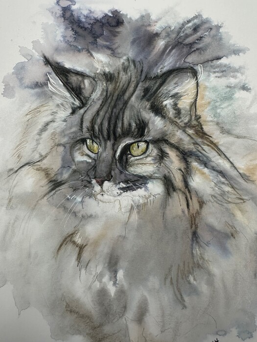 Quiet Siberian gray cat watercolor
