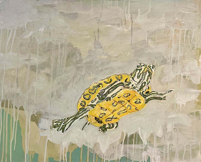 Red-eared Slider red-eared slider turgle