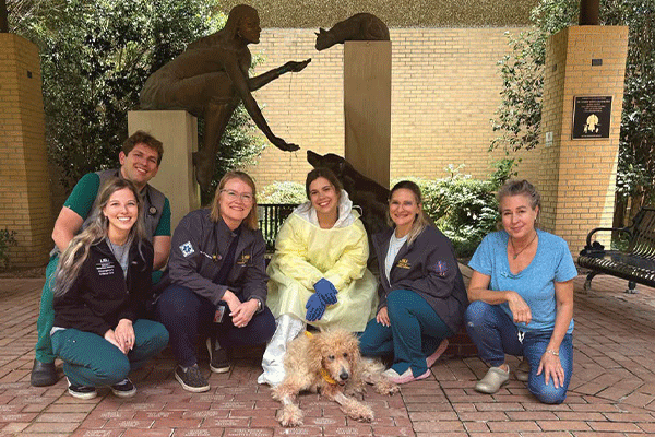 Emergency team with Isabel