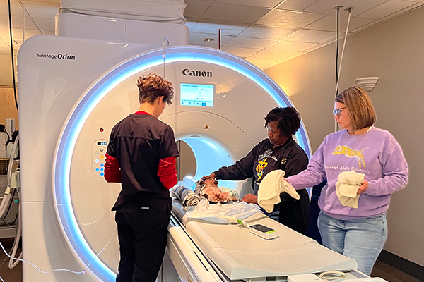 veterinarian and technologists preparing a patient that is lying on the table attached to the MRI