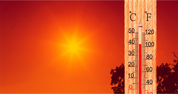 Summer Heat