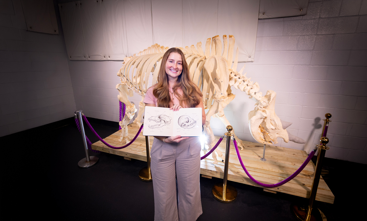 Meghan Wall holding sketches of two canine skulls