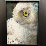 Portrait of a Snowy Owl