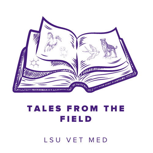 Tale from the Field logo