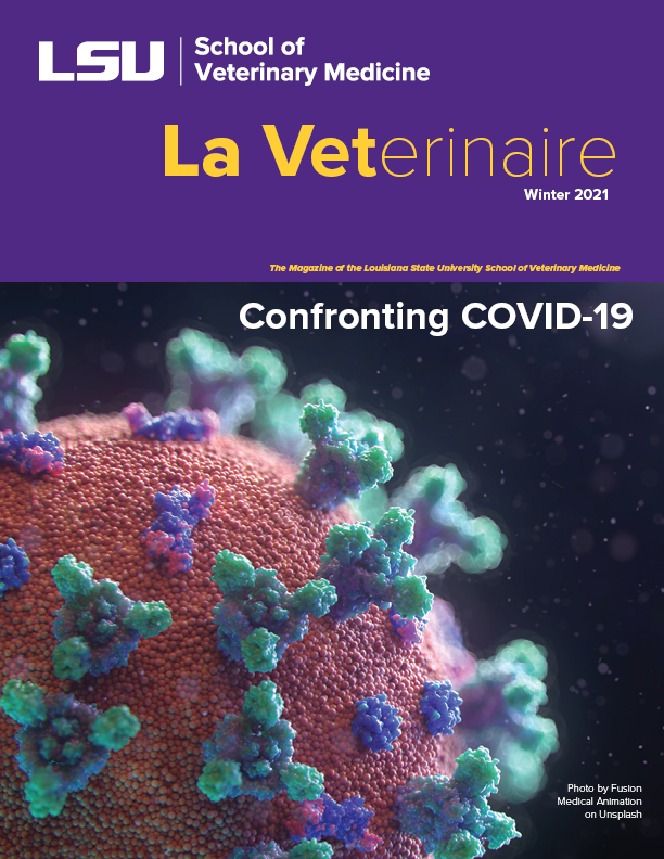 Cover of La Veterinaire 2020