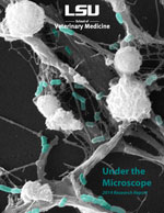 2014 research report cover