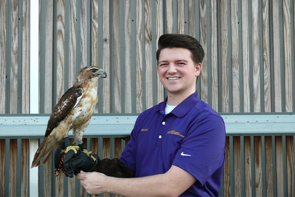 Dominic Scheurer with Red-tailed Hawk