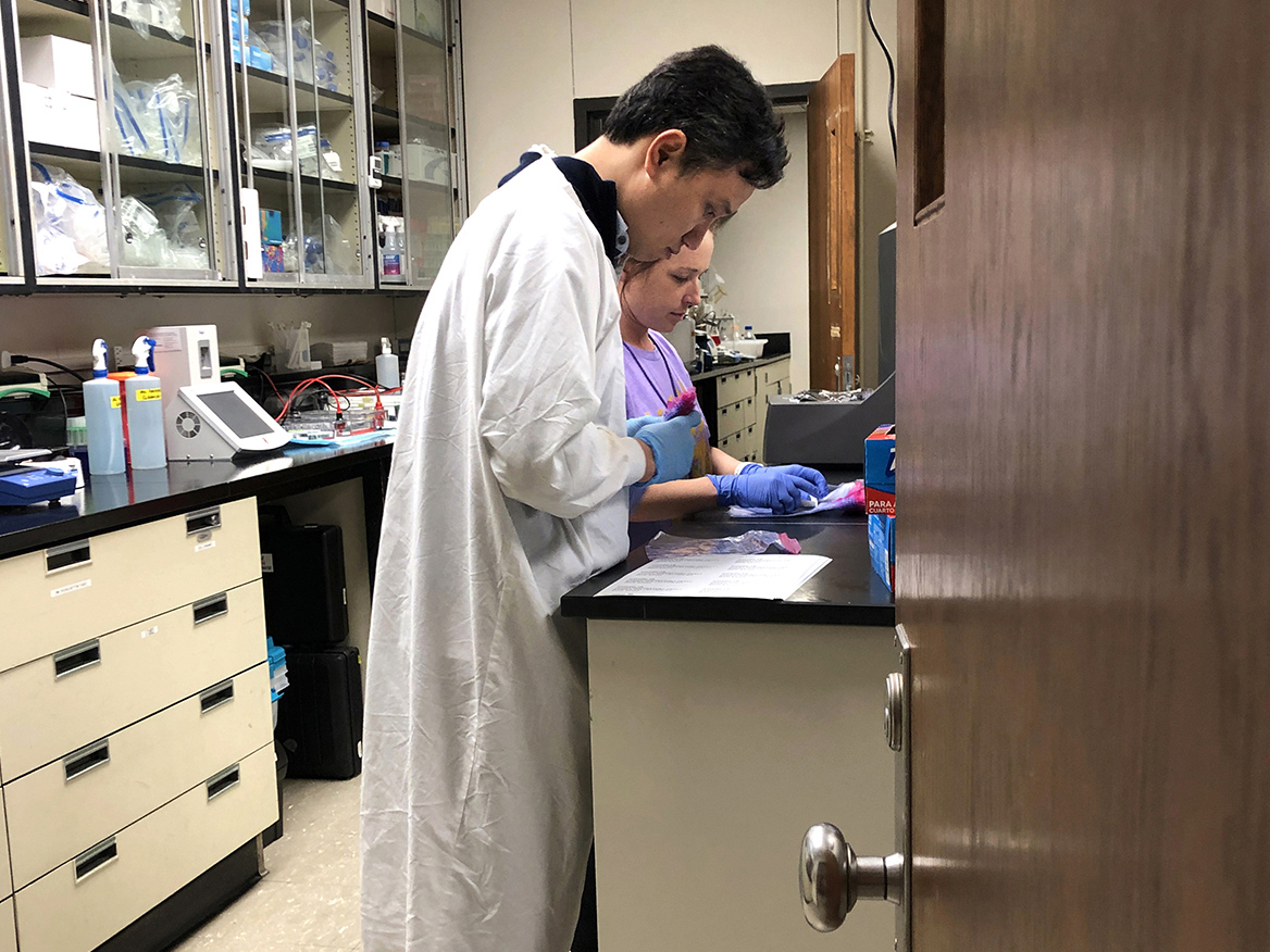 Luan Dinh Vu, a postdoctoral researcher, and Christine Walsh, a graduate assistant, organize viral testing kits to be supplied to area hospitals at the River Road Testing Lab at the LSU School of Veterinary Medicine