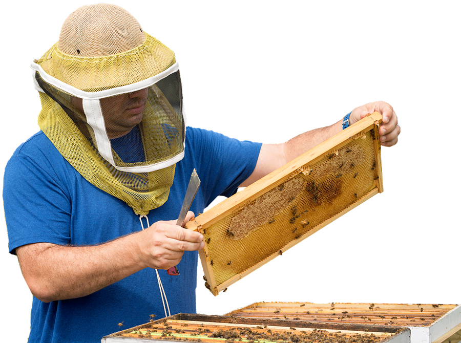 Beekeeper