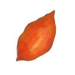 Sweet potato