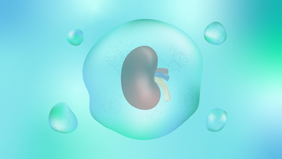 Human organ in a bryostatin solution