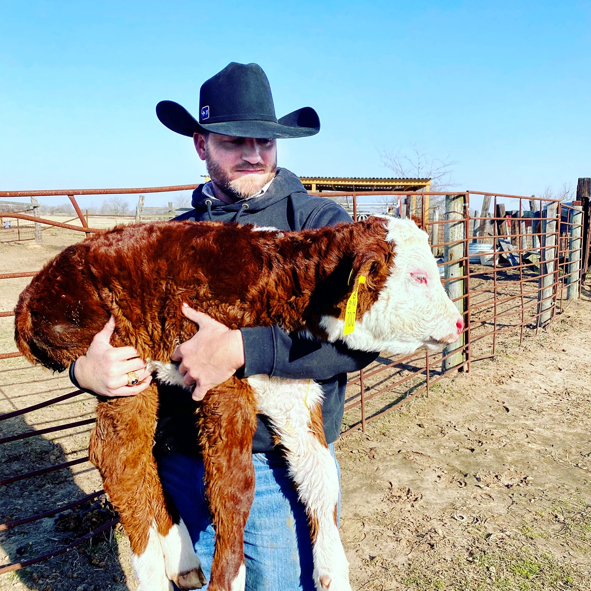 Army veteran and LSUE alum David Billings holds a calf